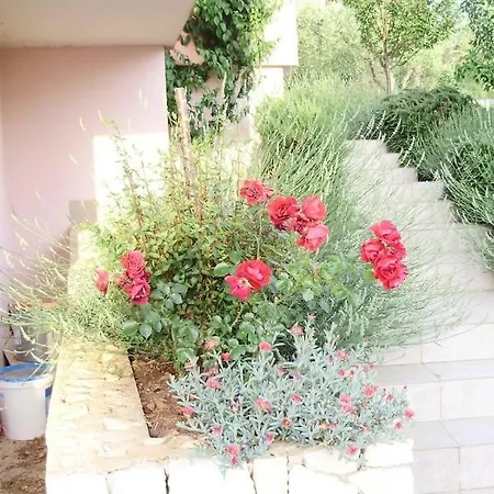 In Okrug Gornji With Sea View, Balcony, Air Conditioning, Wifi 5048-5 * Trogir